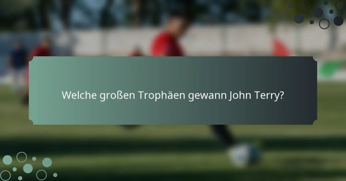 Welche großen Trophäen gewann John Terry?